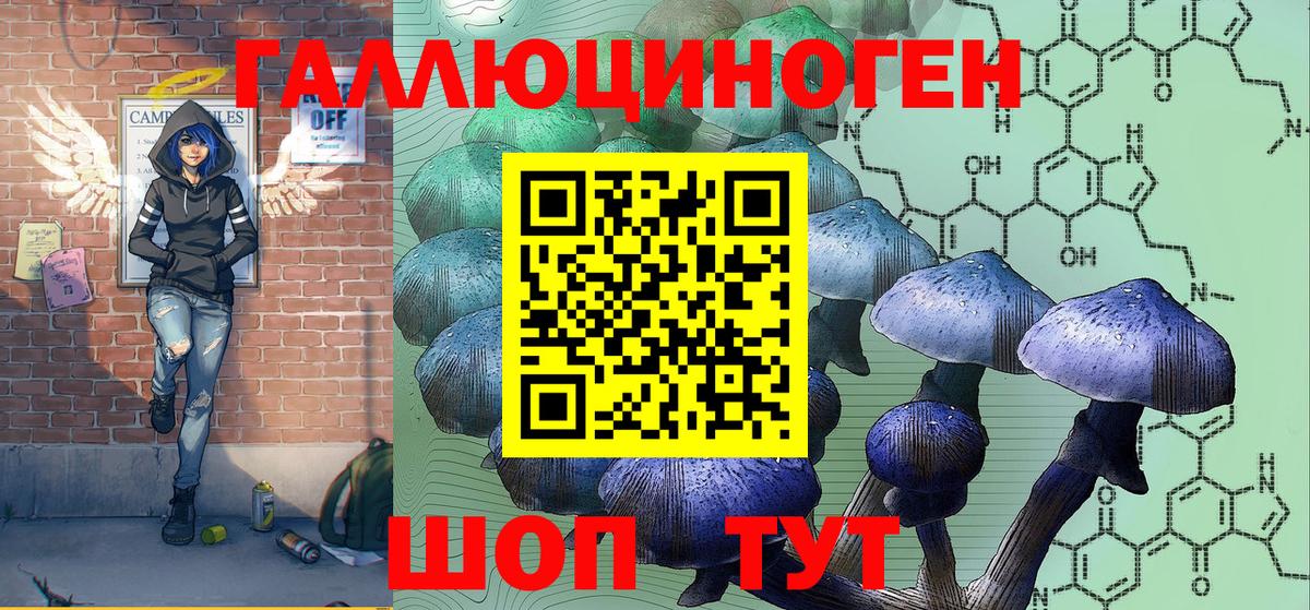 Галлюциногенные грибы Psilocybine cubensis Урус-Мартан